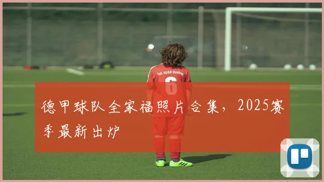 德甲球队全家福照片合集，2025赛季最新出炉